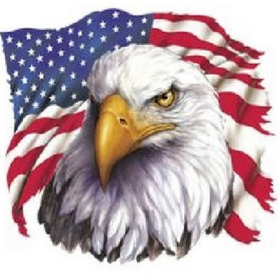 герб сша птица какая