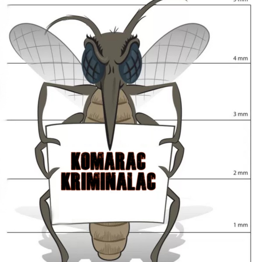 Komarac Kriminalac YouTube