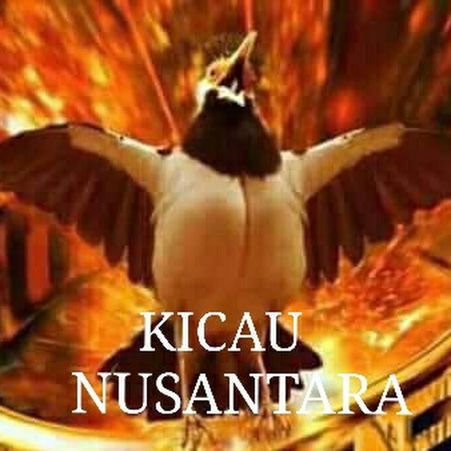 KICAU NUSANTARA 