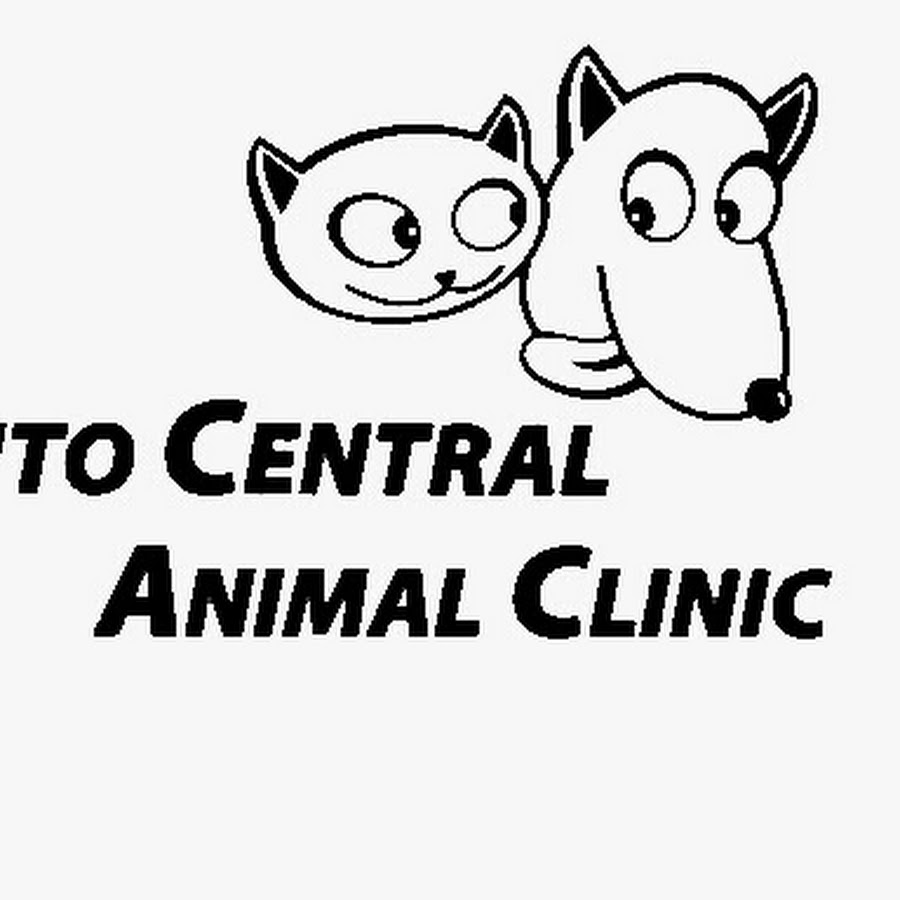 Veterinary clinics of north america:. İdea animal cares center kollektivi. Community center. Animal centre. Vac logo.