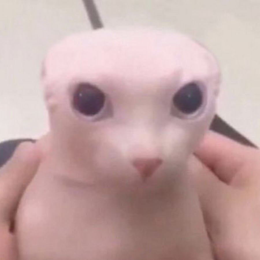 Mr.Speaker - YouTube