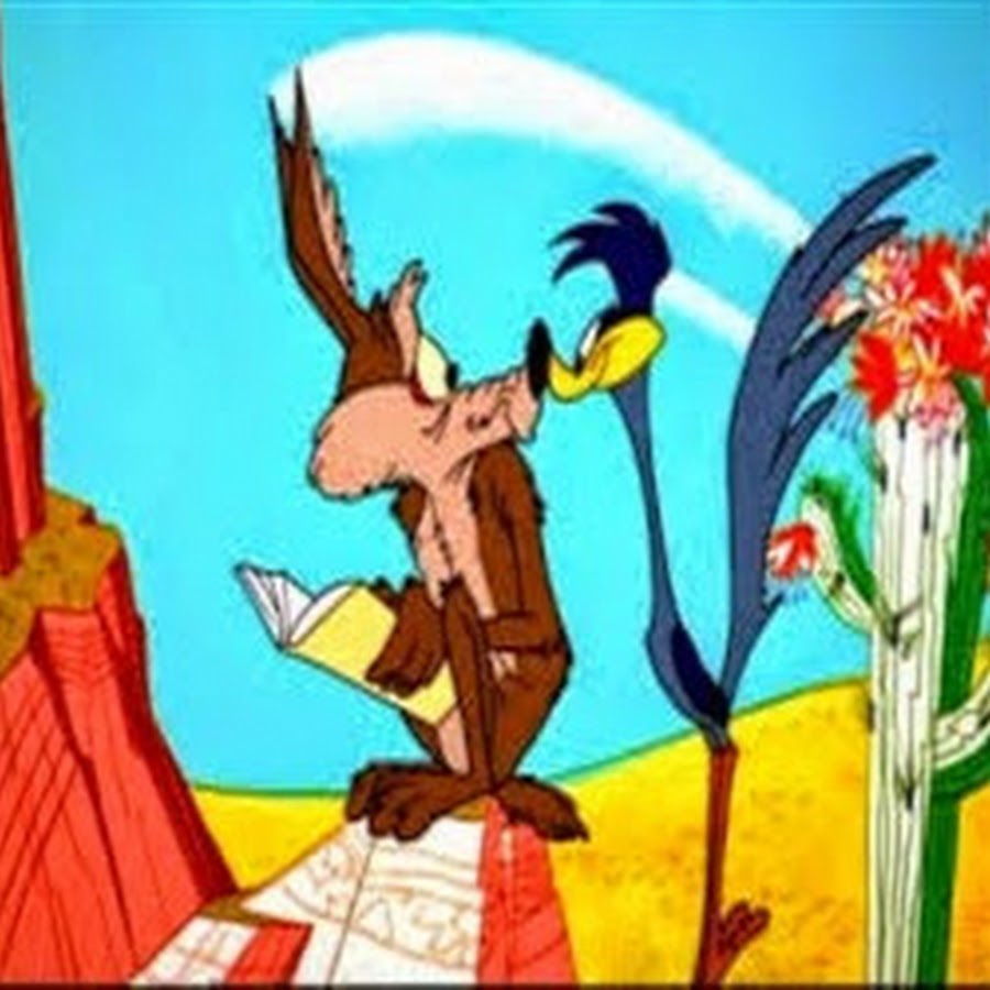 Road Runner Cartoons - YouTube