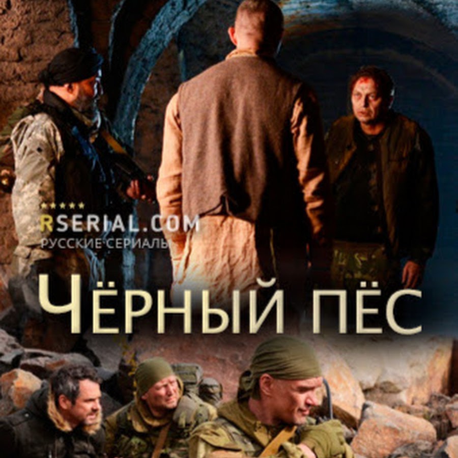 черный пес сколько