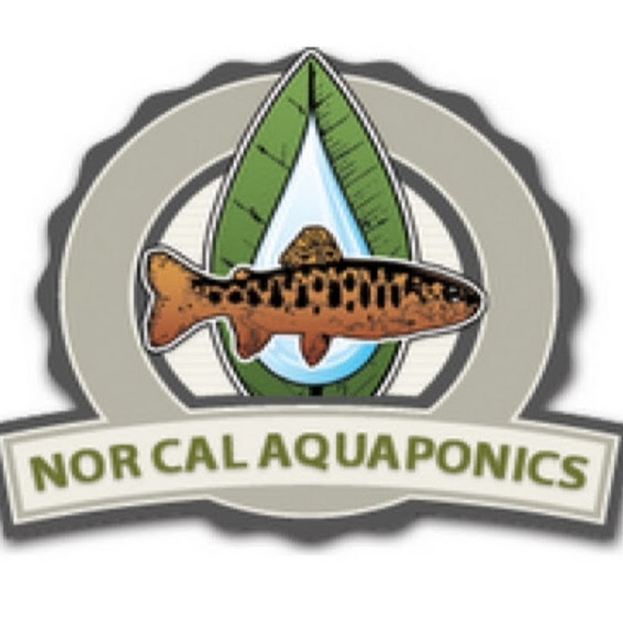 Jon Parr's Viridis Aquaponics - Visit to the 8 Acre Gre 