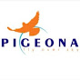 Pigeona - Informative, Motivating, Educational