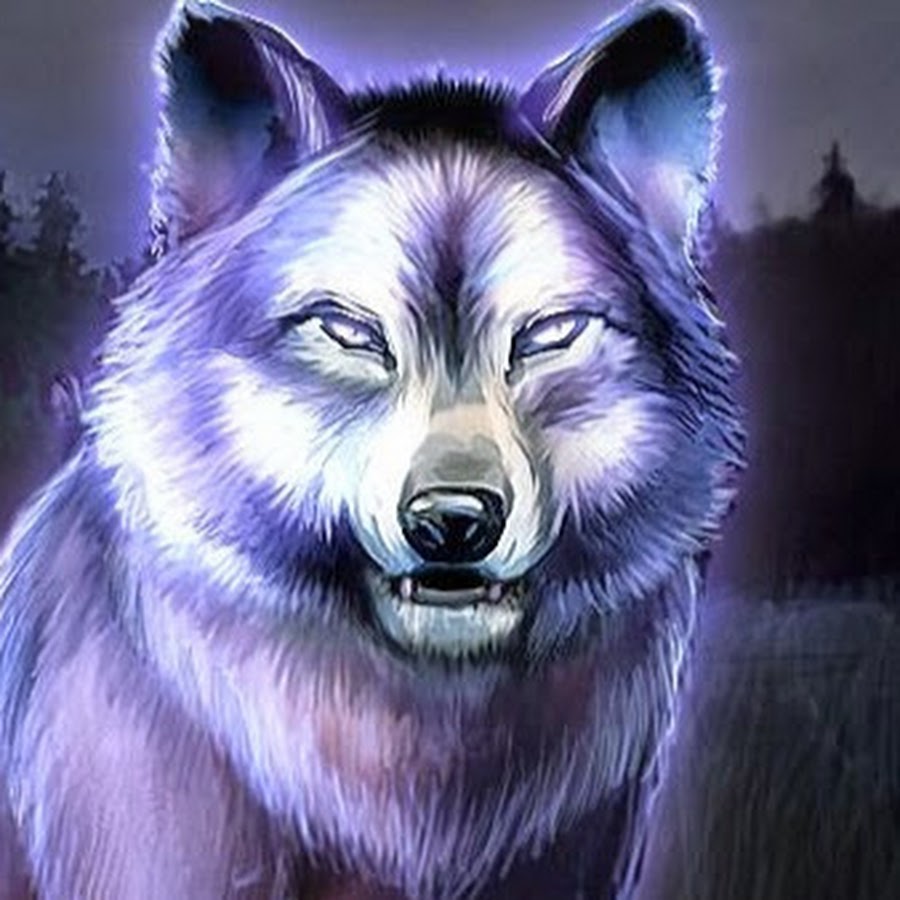 Channel Wolf Killer - YouTube