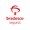 What could Bradesco Seguros buy with $100 thousand?