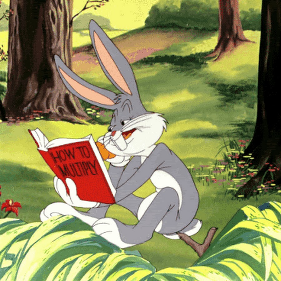 Anahi Castillo - YouTube