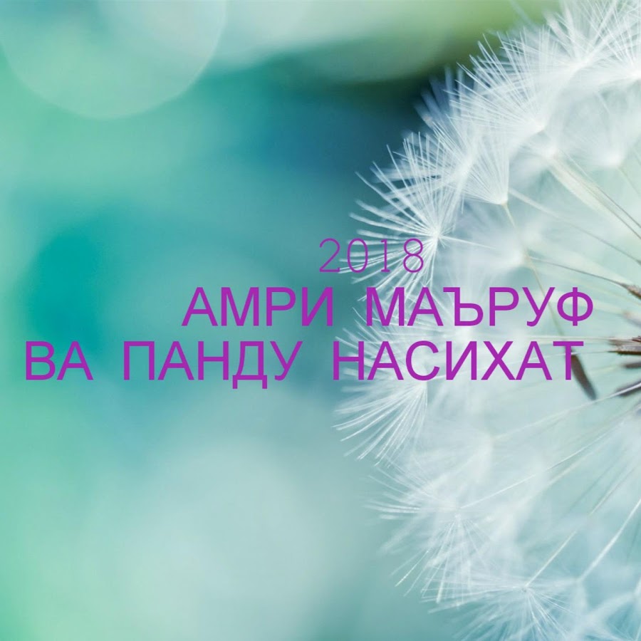 Панди бузургон бо забони точики. Панду хикмат. Чакидахо. Панду андарзҳои бузургон. Панди бузургон.