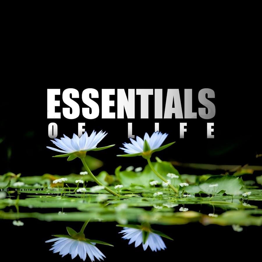 Essentials Of Life YouTube
