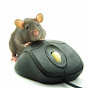 Rat Race Rebellion The Work from Home Experts