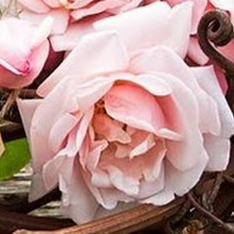 Конкорд - YouTube