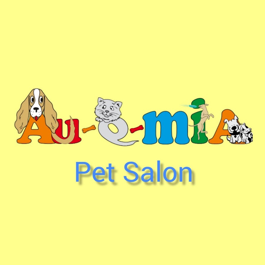 AUQMIA PET SALON YouTube