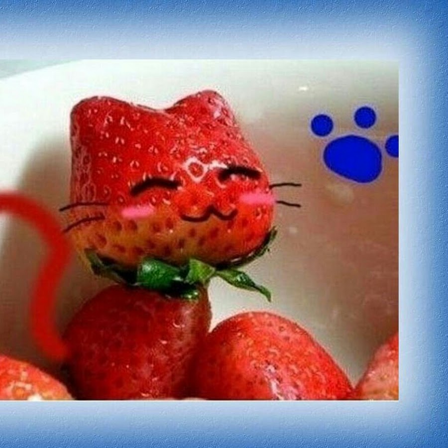 Strawberry cat YouTube