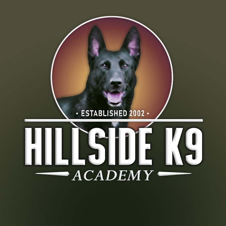 Hillside K9 Academy YouTube