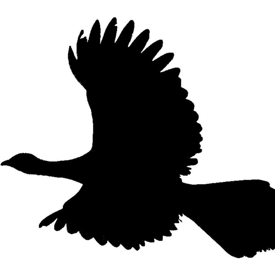 Chachalaca Review 