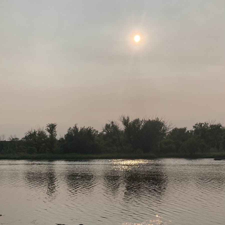 gotcha life - YouTube