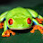 greenfrog12 avatar