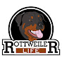Rottweiler Life
