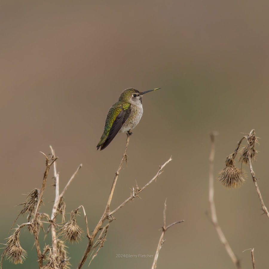 Fletcher Aerial Solutions YouTube