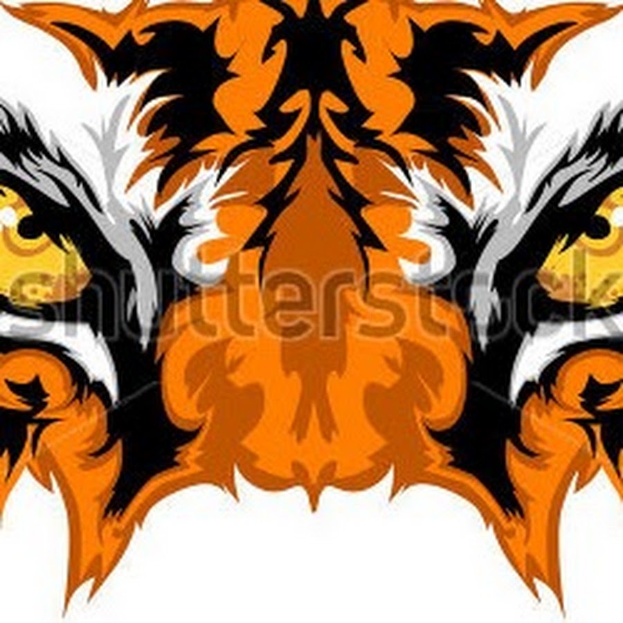 Tiger Dan YouTube