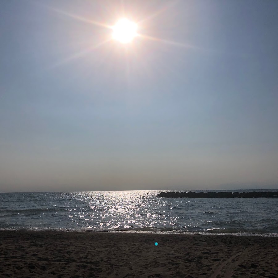 Pulse Fire X5 YouTube