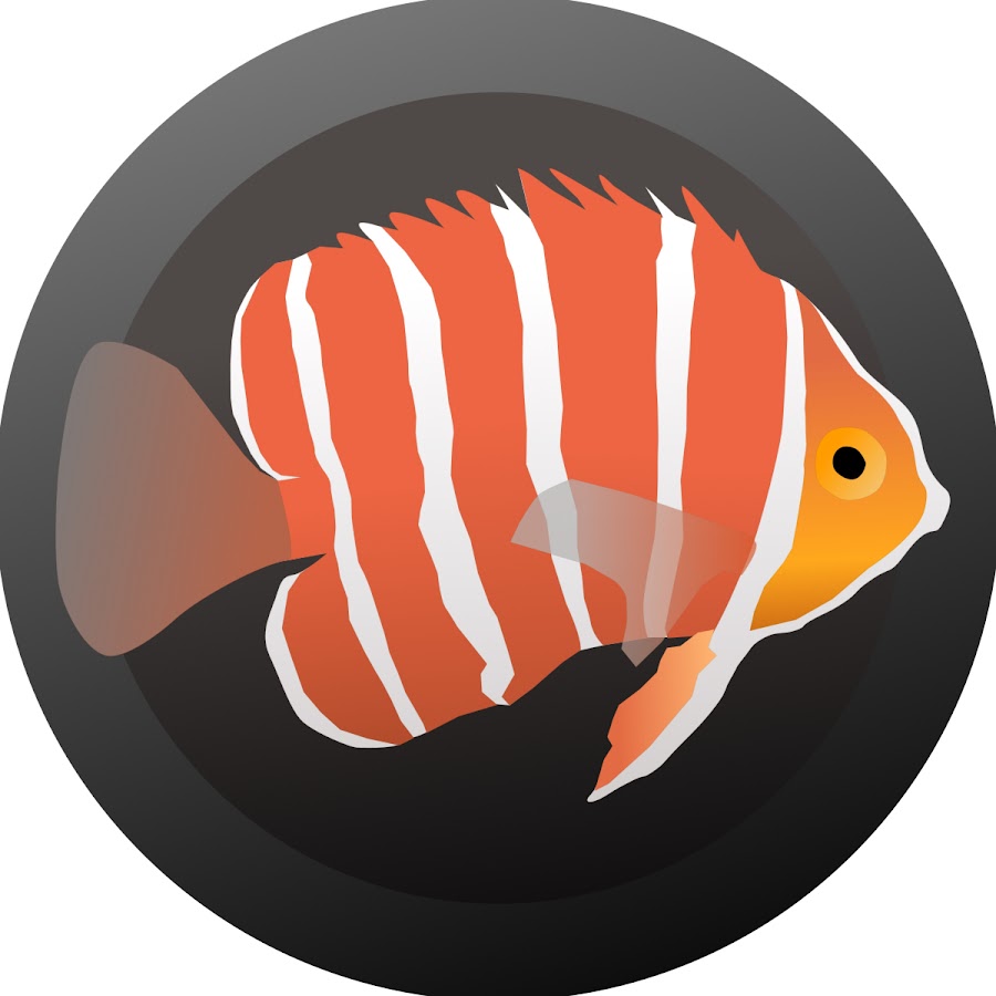 Boylei Hobby Time - YouTube