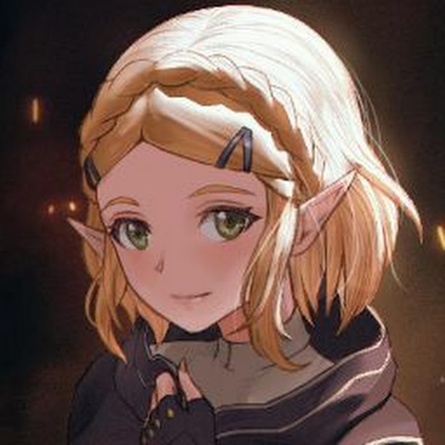 Champion Zelda! - YouTube