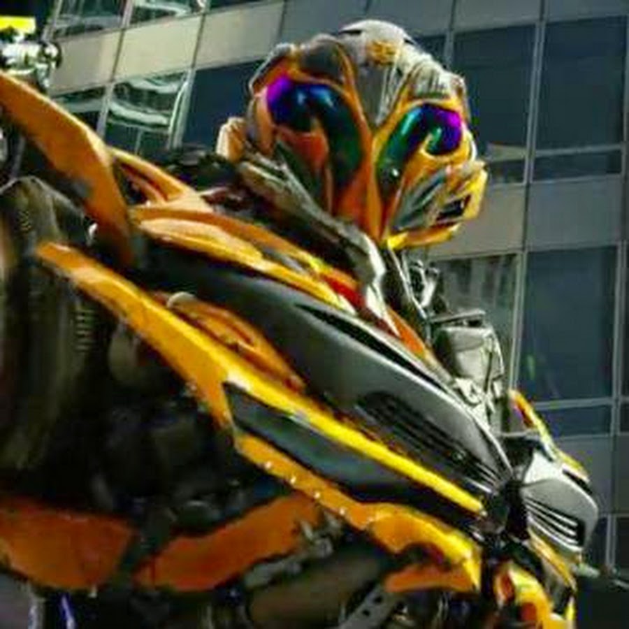 steve extreme YouTube