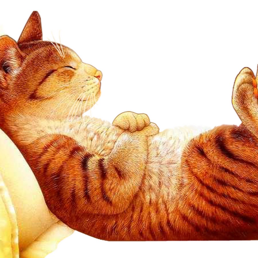 Рисунок лежебока рыжий кот