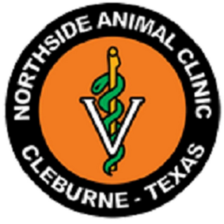 Northside Animal Clinic YouTube