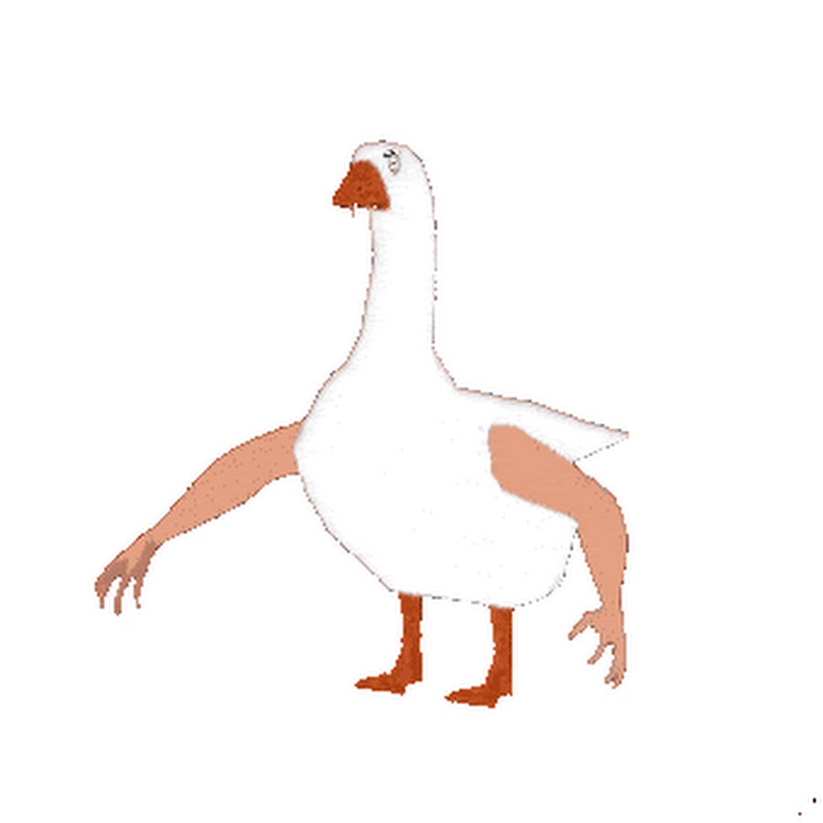 анимация утки. гусь танцует. гусь анимированный. анимированный гусь. гусь анимированный.