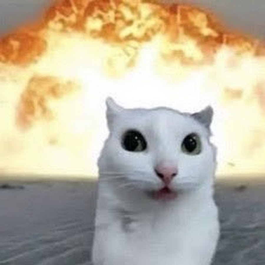 iNot Very Funny 