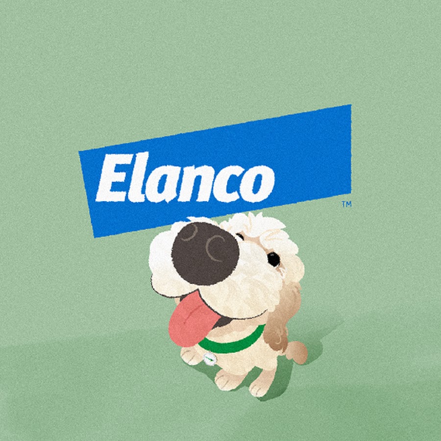 세레스토 - YouTube