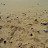 graspingsand avatar