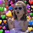 alysha