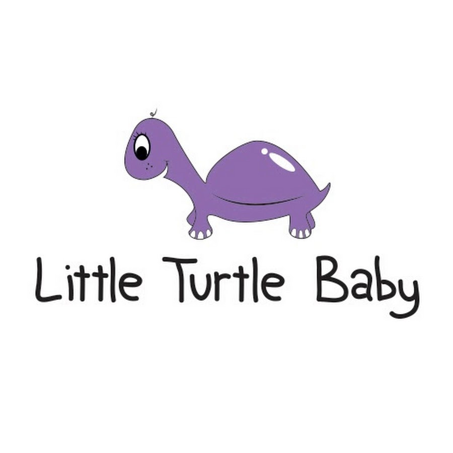 Little Turtle Baby YouTube