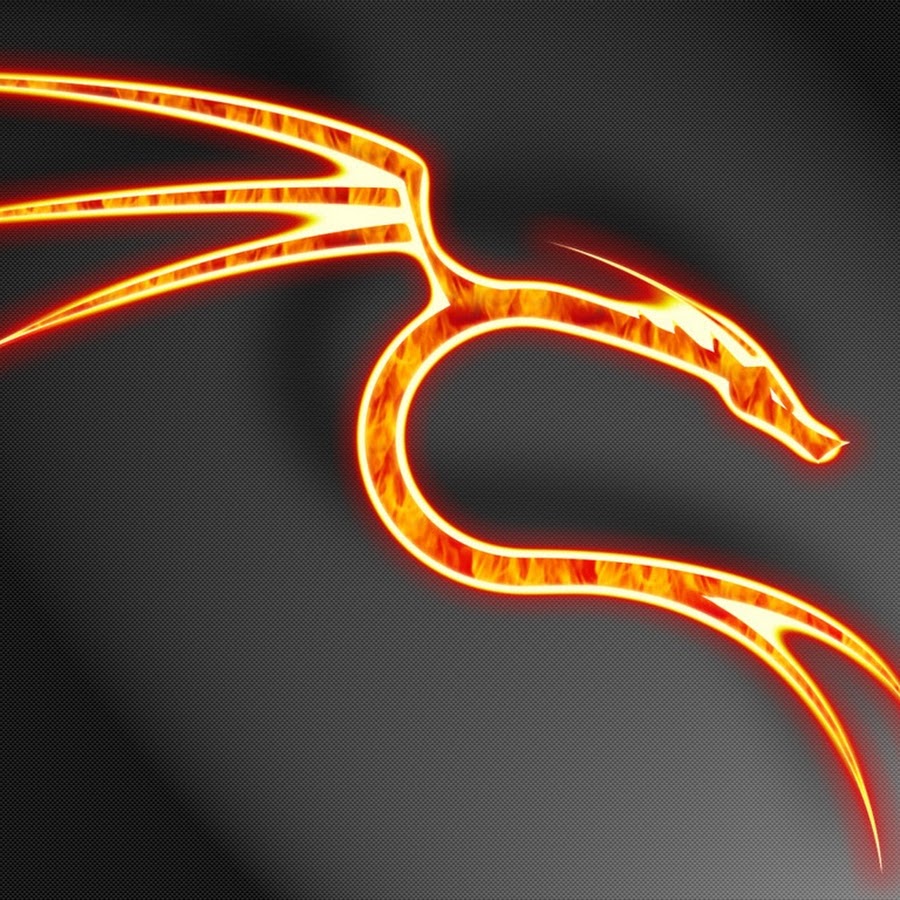 SilverWing Dragon YouTube