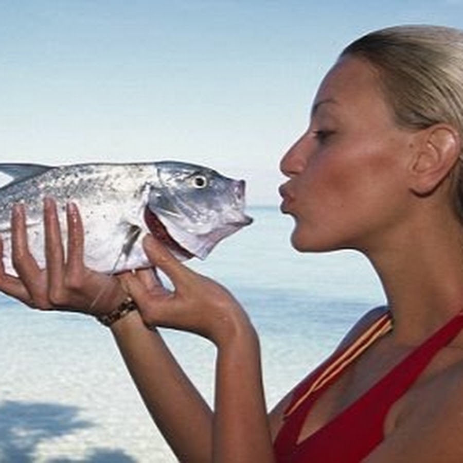 Рыбы любовный неделя. Рыба-любовь. Рыбная любовь. Любовь к рыбе и настоящая. Рыбы любви участницы.