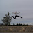 Parkour Juarez avatar