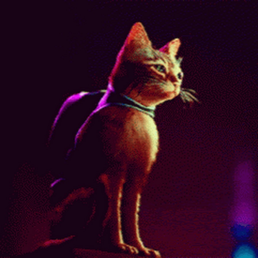 Immortal Echo - YouTube