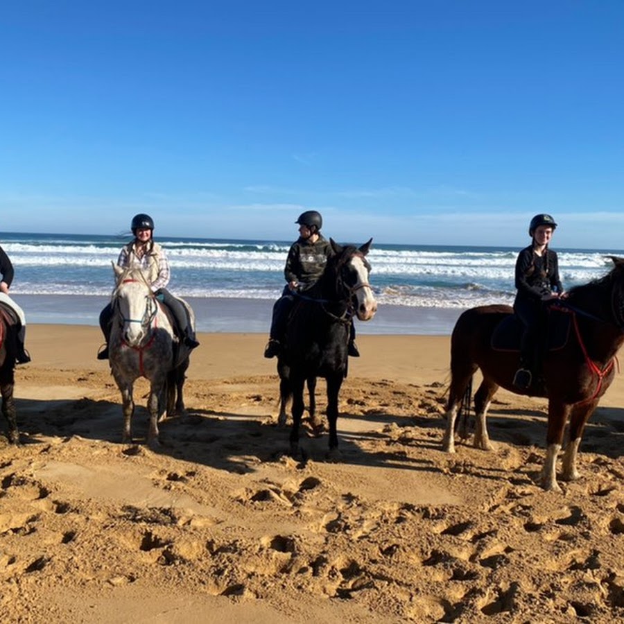 Shinae 112345 - YouTube