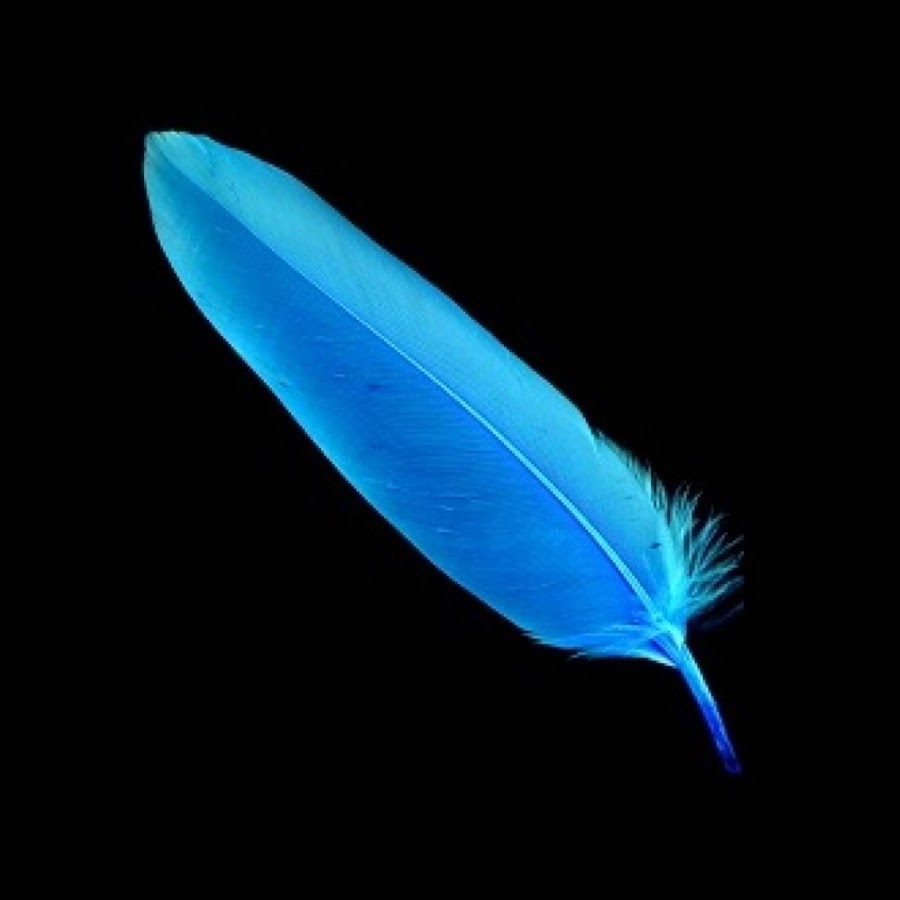 Sisters Of A Feather YouTube