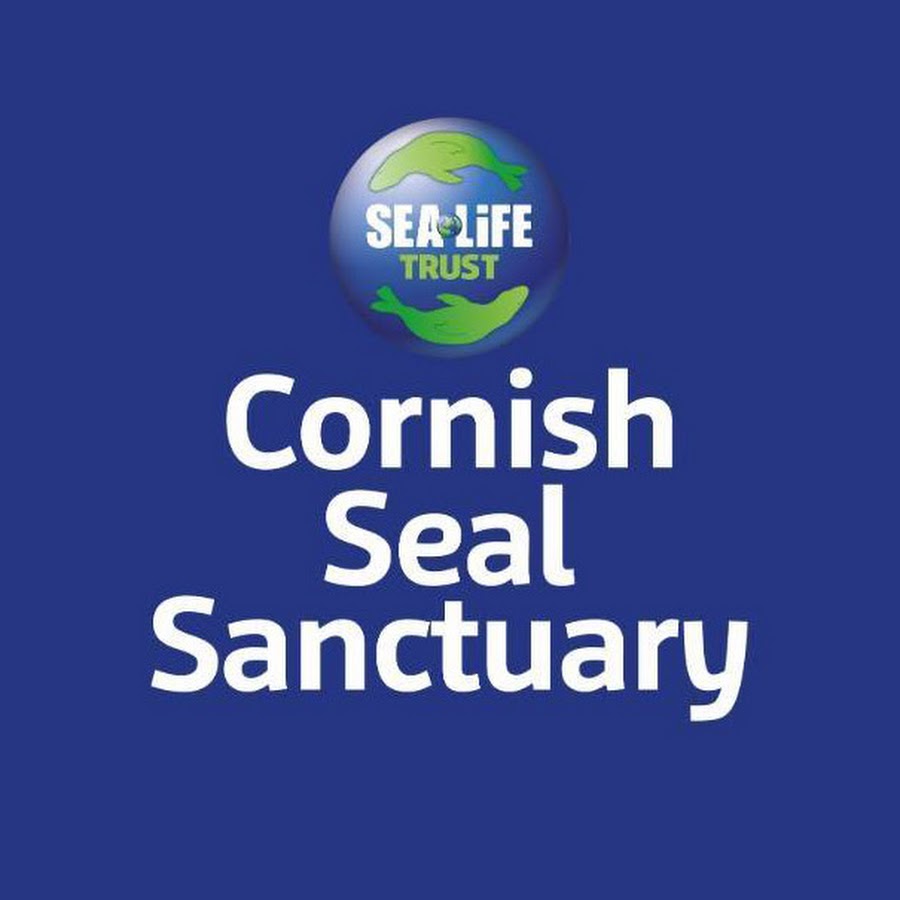 Cornish Seal Sanctuary YouTube