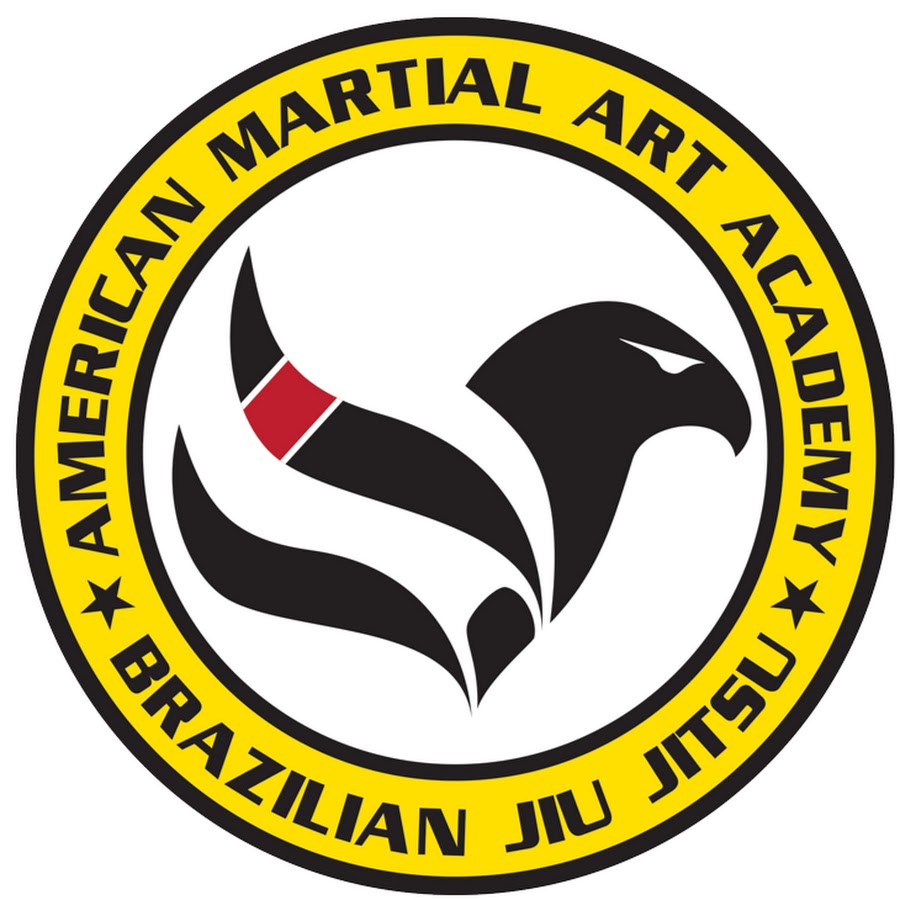 American Martial Art Academy YouTube