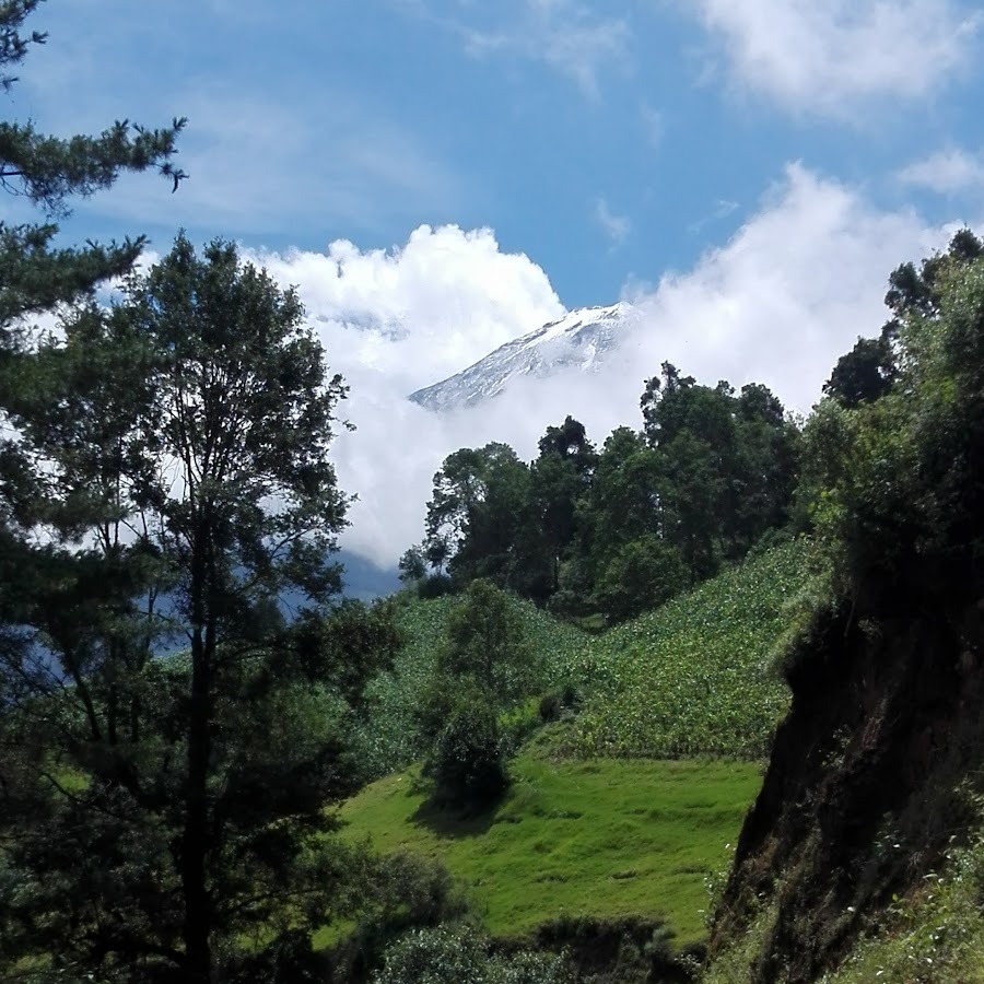 LA PERLA VERACRUZ YouTube