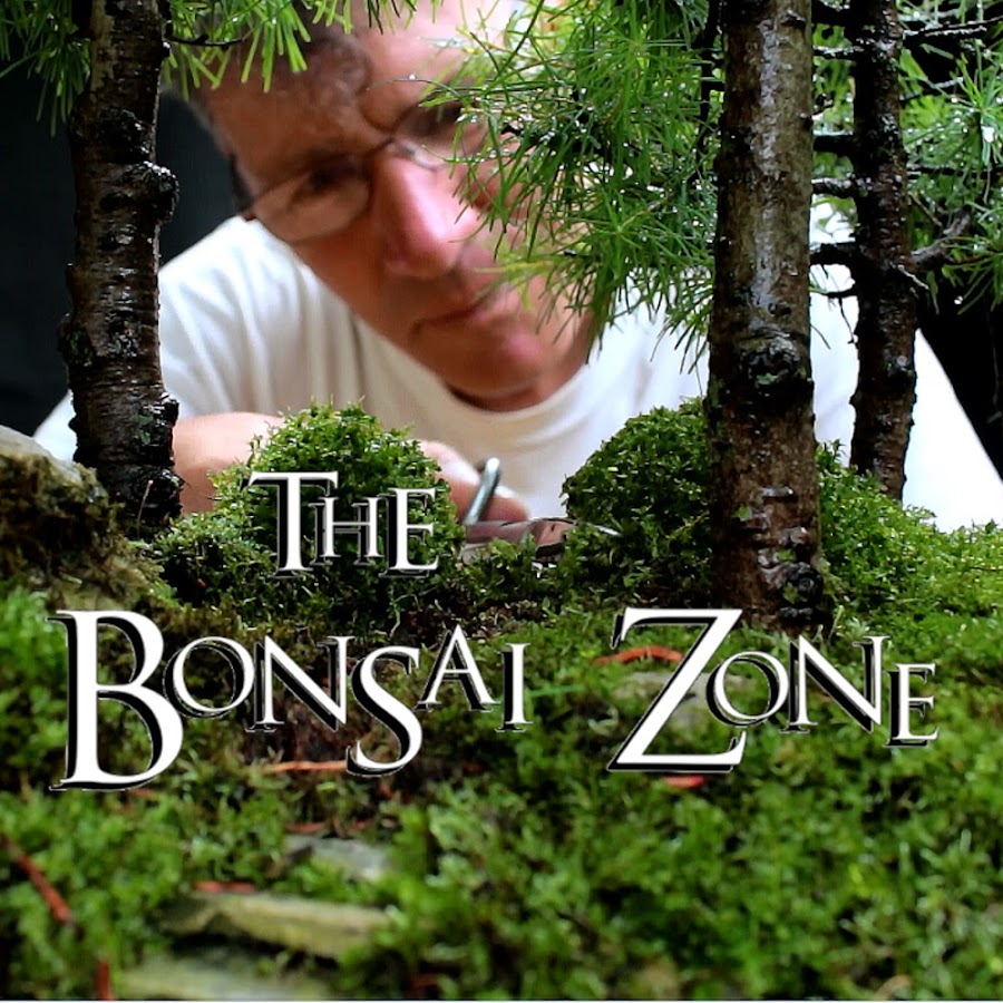 Nigel Saunders, The Bonsai Zone YouTube