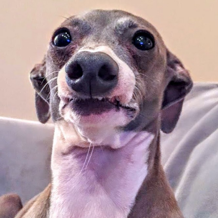 Jenna Marbles Peach