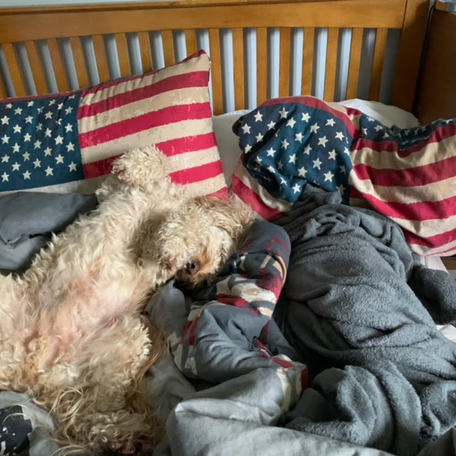 Charlie Leighton - YouTube