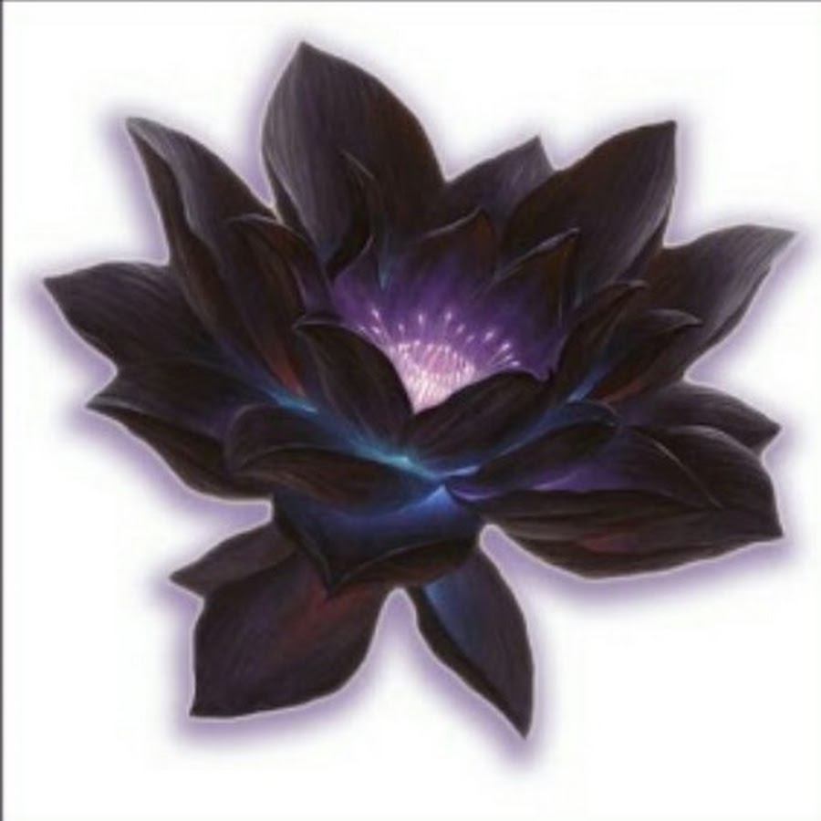 BLACK LOTUS MTG YouTube